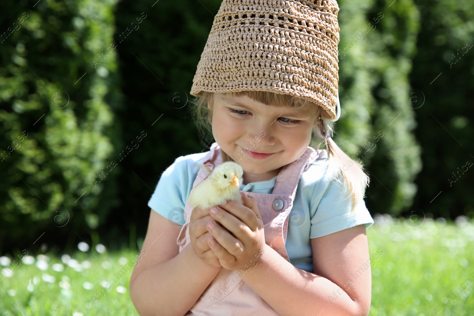 Photo of Cute little girl with chick outdoors. Baby animal