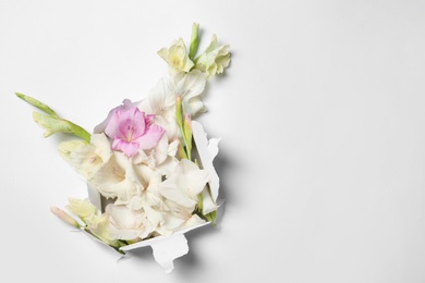 Photo of Composition with beautiful gladiolus flowers and torn paper