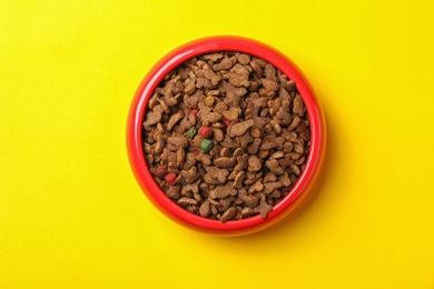 Bowl with food for cat or dog on color background. Pet care