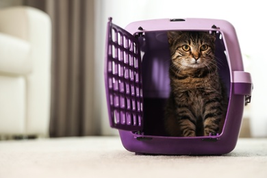 Photo of Cute tabby cat in pet carrier at home