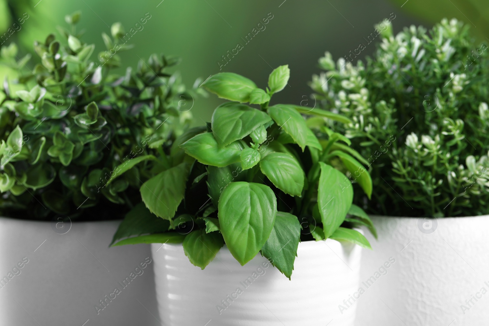 Photo of Different artificial potted herbs against blurred green background, closeup