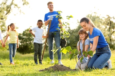 Photo of Kids planting trees with volunteers in park