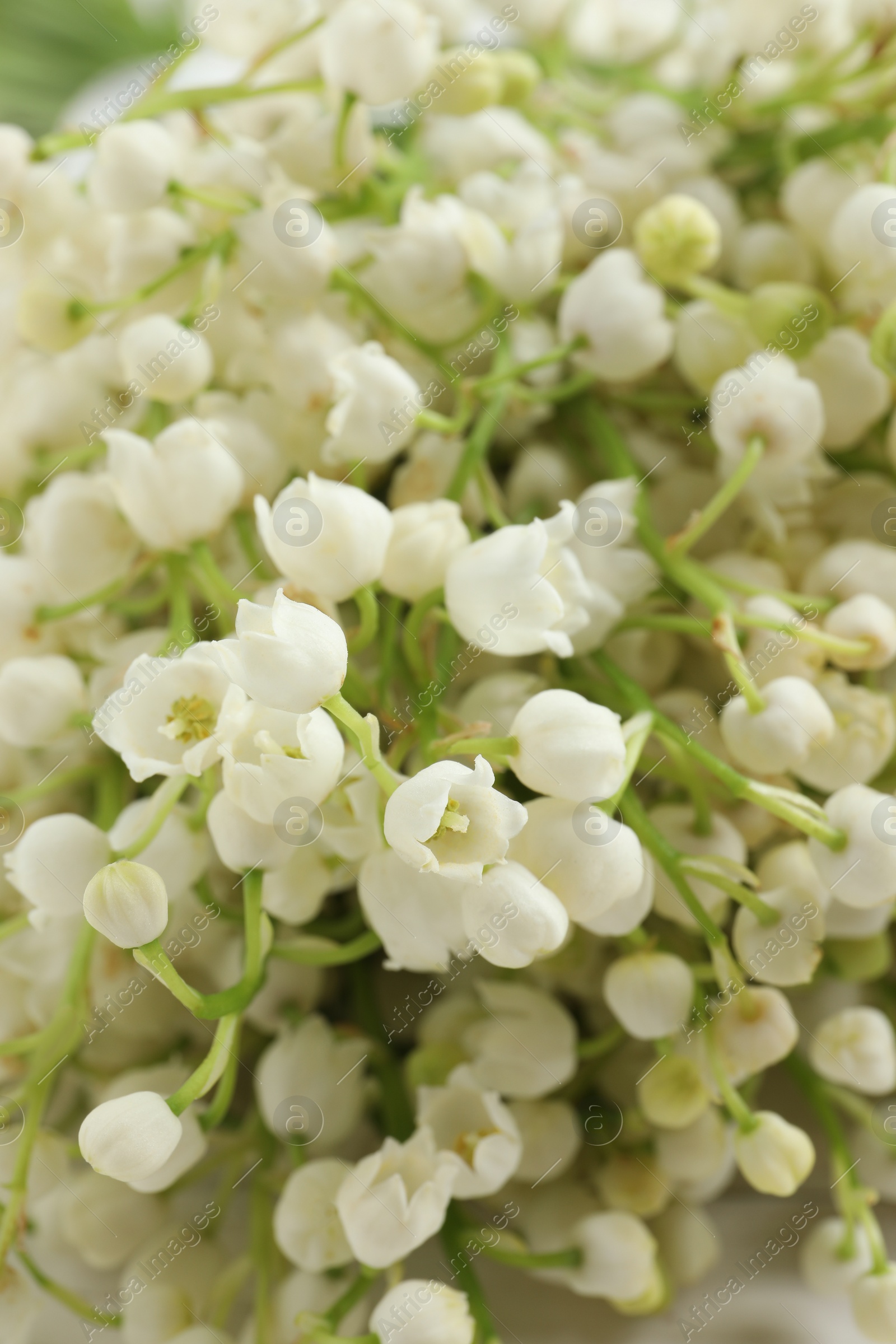 Photo of Beautiful lily of the valley bouquet as background, closeup