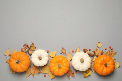Different ripe pumpkins, autumn leaves, berries and acorns on grey background, flat lay. Space for text