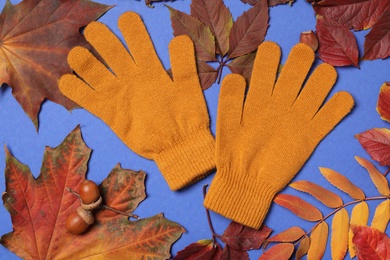 Photo of Stylish orange gloves and dry leaves on blue background, flat lay