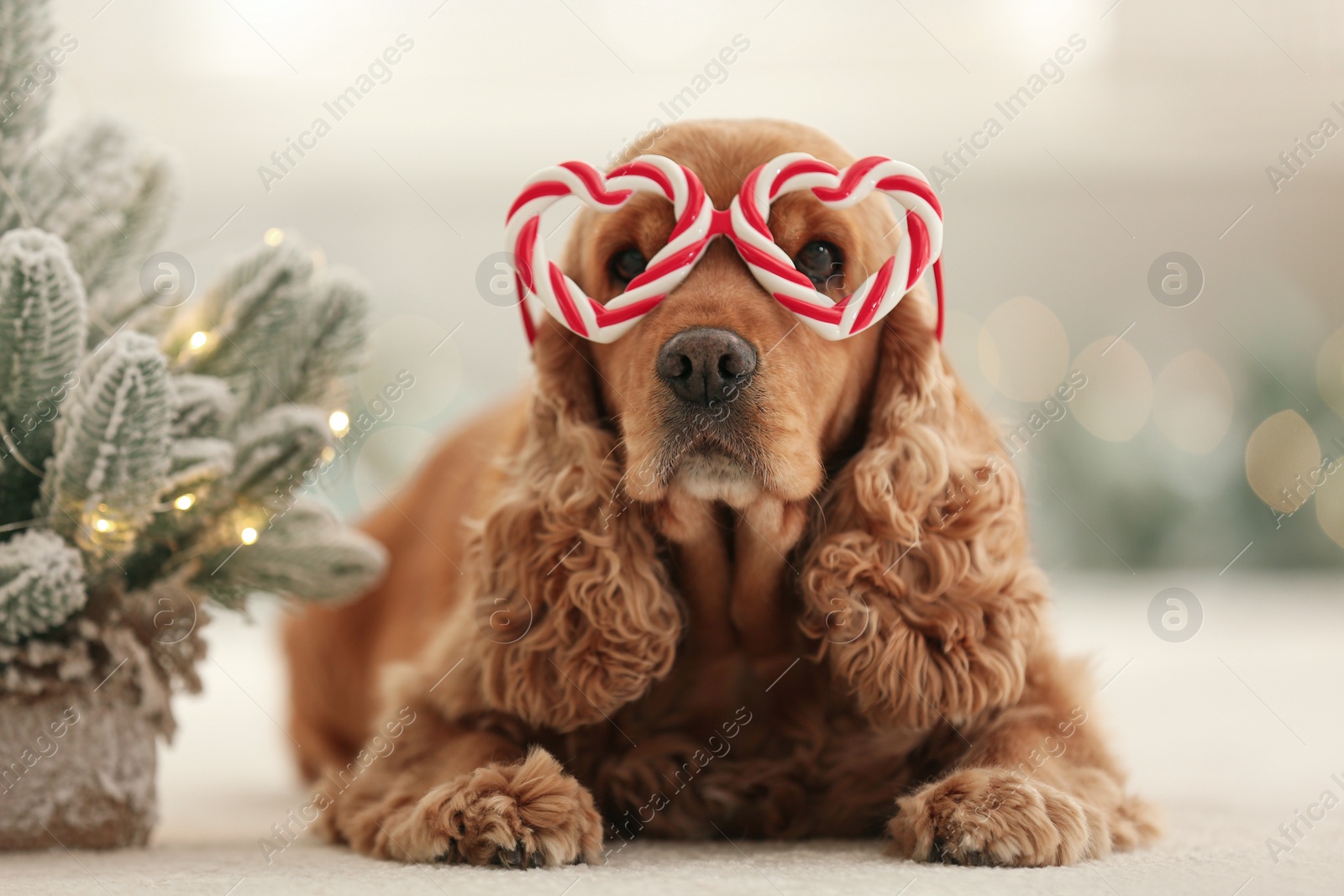 Photo of Adorable Cocker Spaniel dog in party glasses near decorative Christmas tree