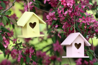 Photo of Wooden bird houses on blossoming tree outdoors