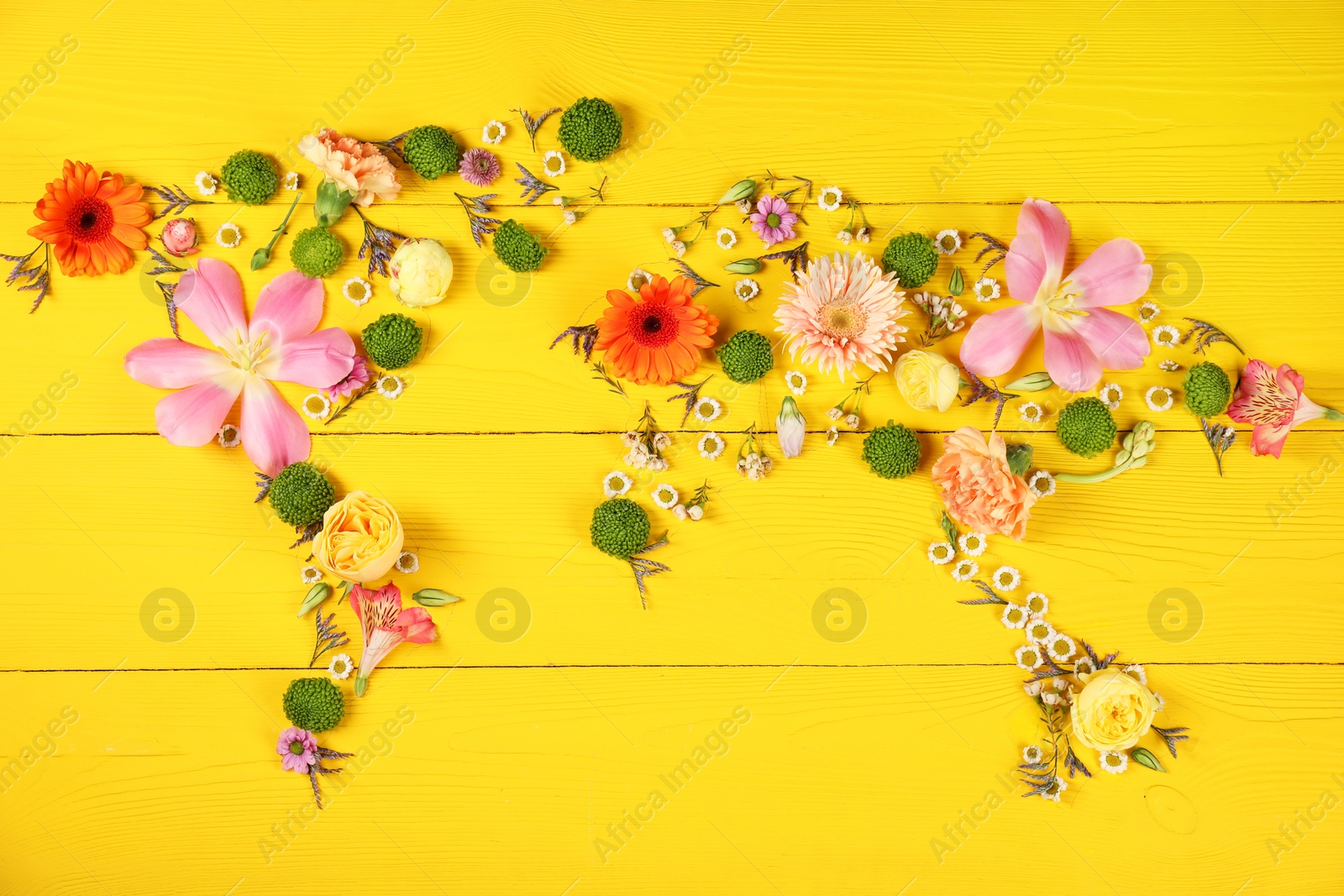 Photo of World map made of different beautiful flowers on yellow wooden table, flat lay