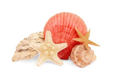 Photo of Beautiful sea stars (starfishes), stone and seashells isolated on white