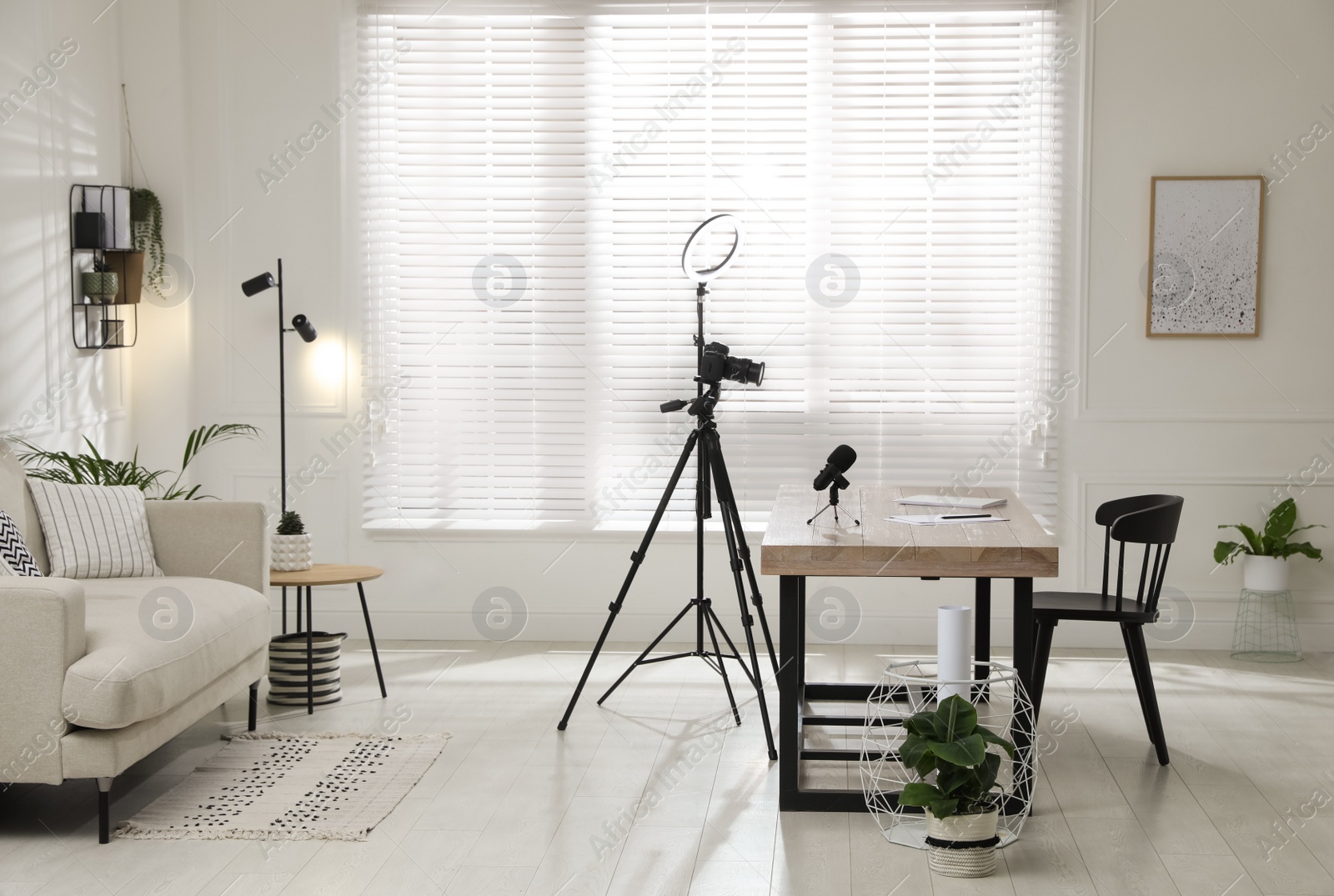 Photo of Ring light, camera and microphone for blogging in room