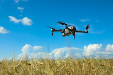 Photo of Modern drone flying over wheat grain field on sunny day. Agriculture industry