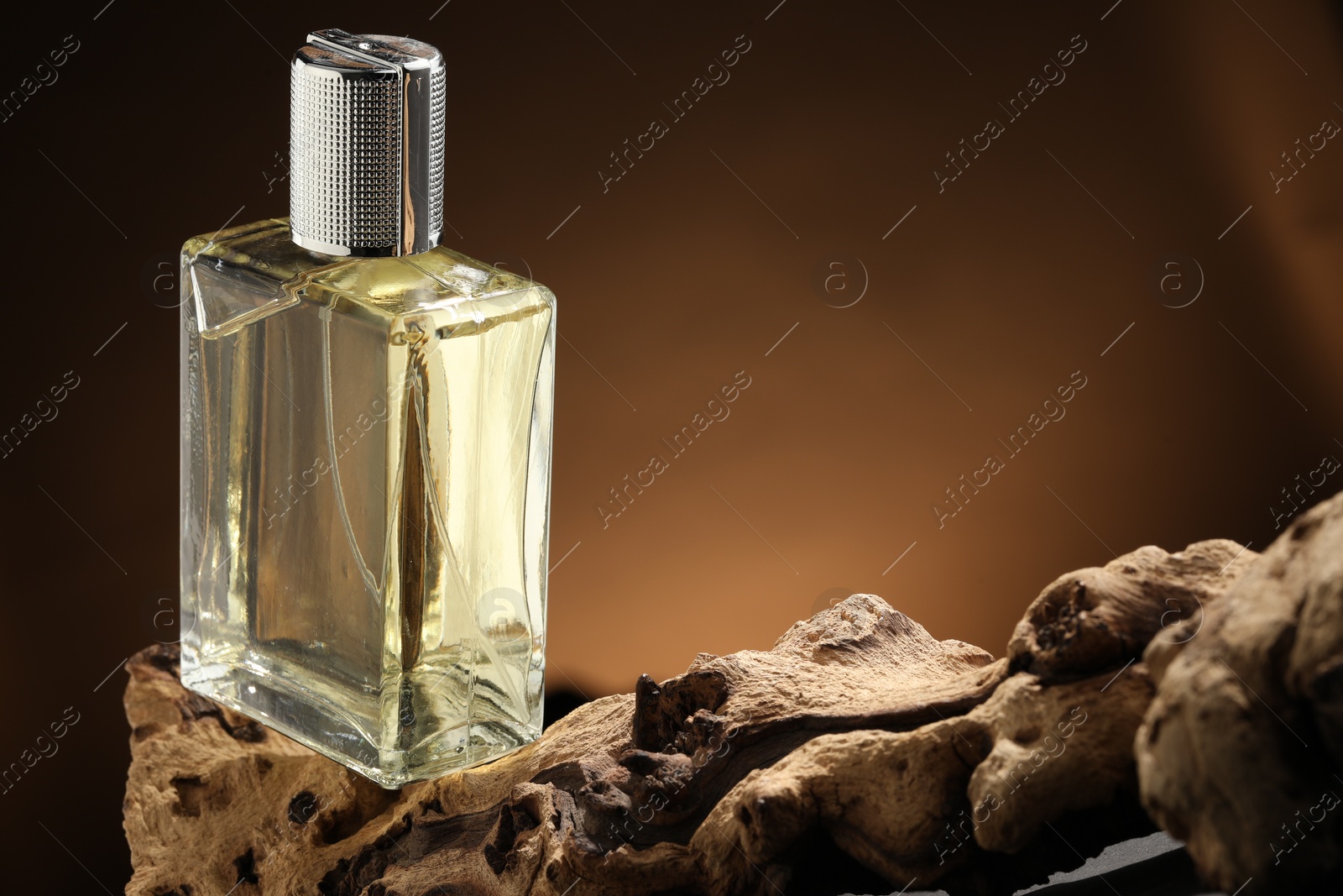 Photo of Luxury men`s perfume in bottle against brown background, space for text