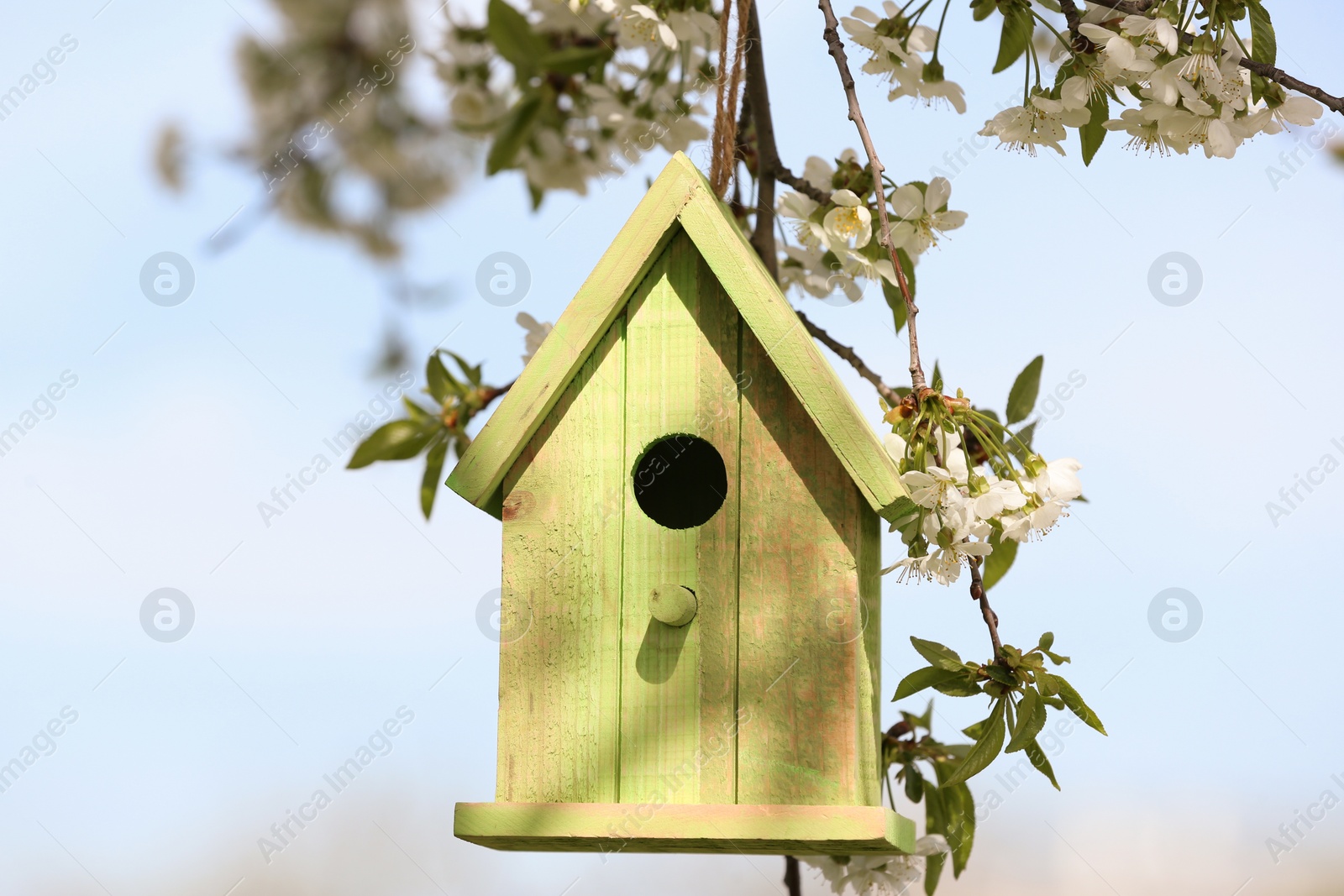 Photo of Green wooden bird house hanging from tree branch outdoors