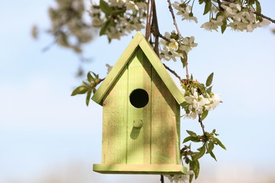 Green wooden bird house hanging from tree branch outdoors