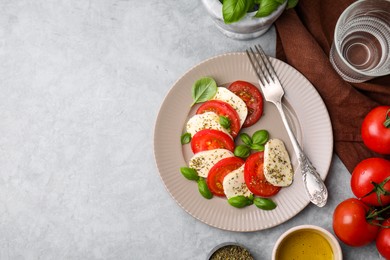 Photo of Delicious salad Caprese with tomatoes, mozzarella, basil and spices served on light grey table, flat lay. Space for text
