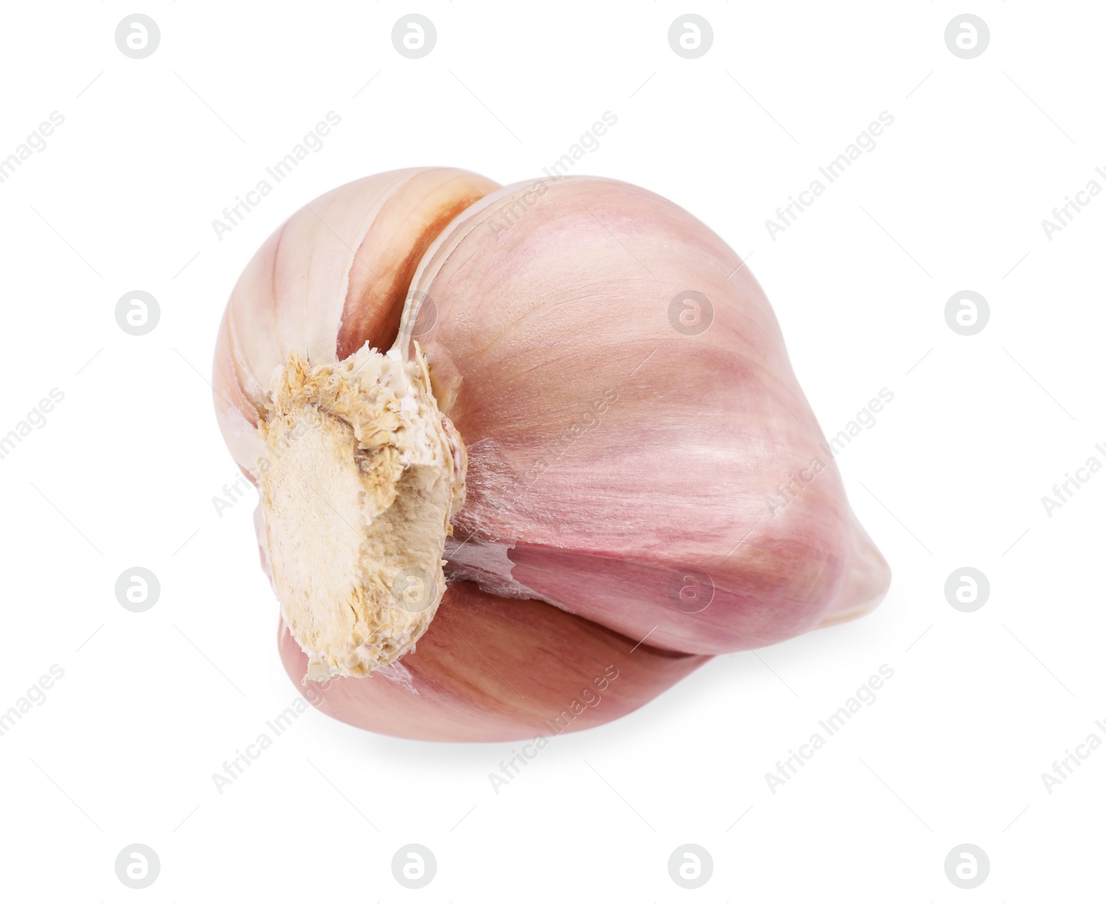 Photo of Head of fresh garlic isolated on white, top view