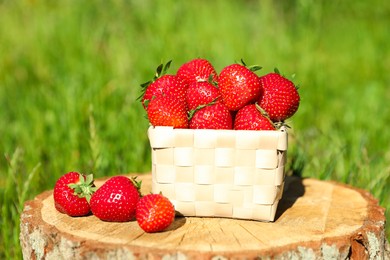 Photo of Basket and ripe strawberries on tree stump outdoors, closeup