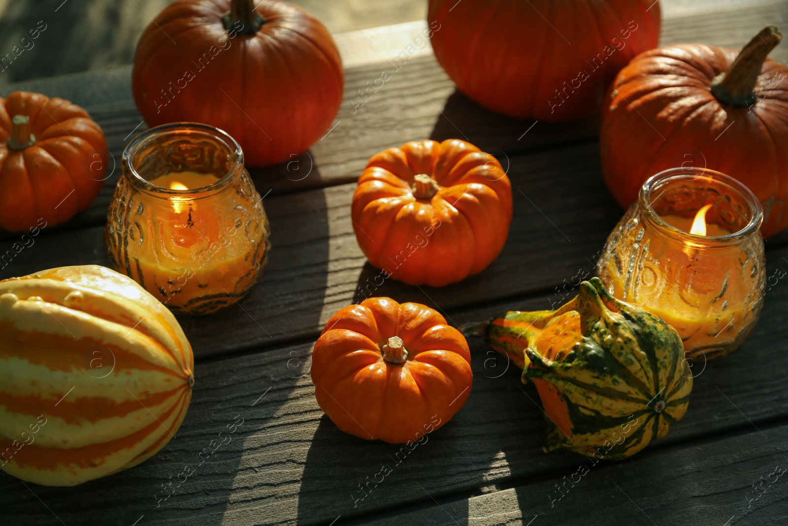 Photo of Many whole ripe pumpkins and candles on wooden table outdoors