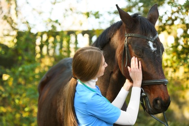 Photo of Veterinarian in uniform with beautiful brown horse outdoors