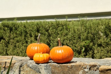 Photo of Ripe orange pumpkins on stone surface in garden
