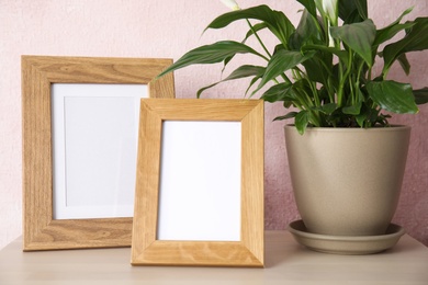 Photo of Spathiphyllum plant and photo frames on table near color wall, space for design. Home decor