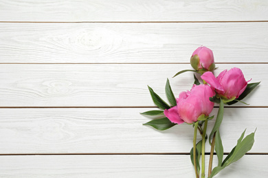 Beautiful pink peonies on white wooden background, flat lay. Space for text