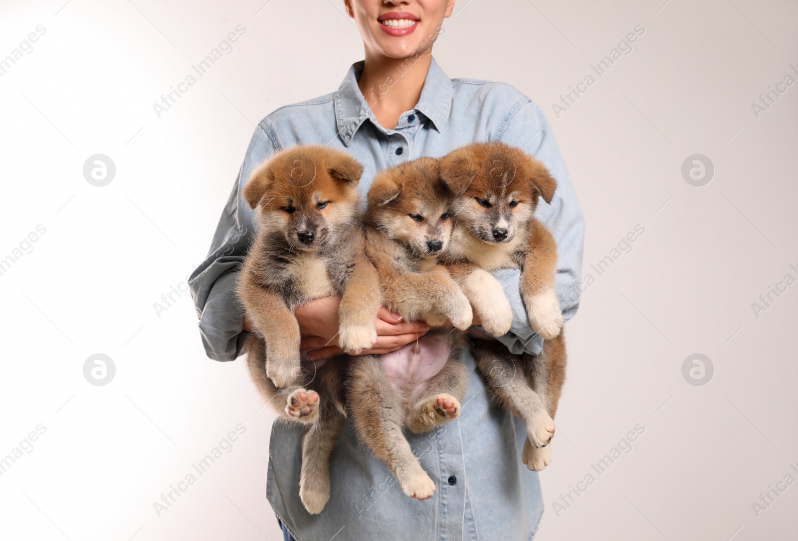Photo of Woman holding Akita Inu puppies on light background, closeup