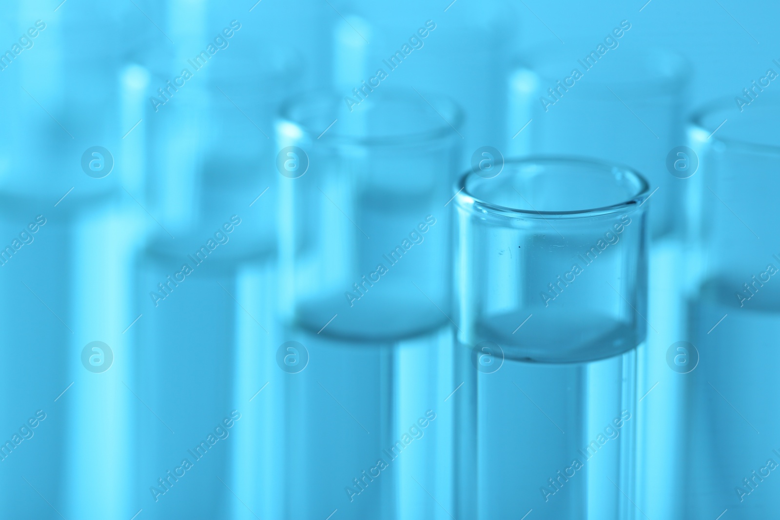 Photo of Laboratory analysis. Many glass test tubes on light blue background, closeup