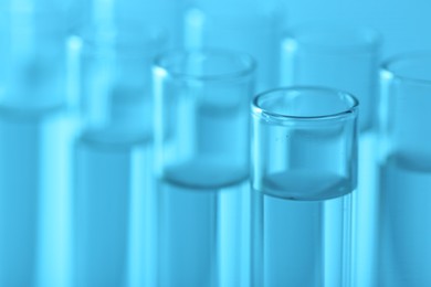 Photo of Laboratory analysis. Many glass test tubes on light blue background, closeup