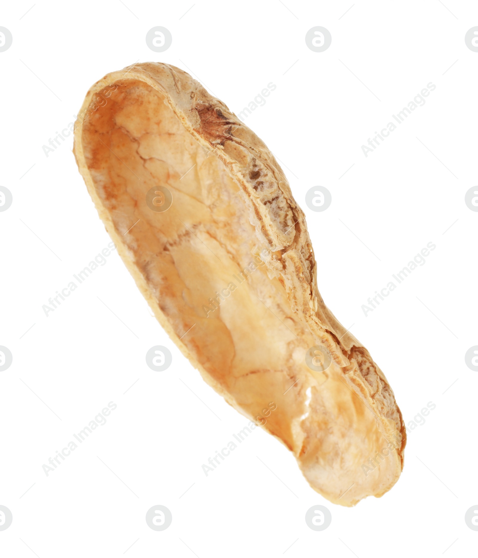Photo of Piece of peanut pod isolated on white