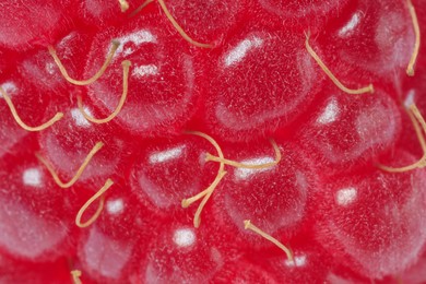 Photo of Texture of ripe raspberry as background, macro view. Fresh berry