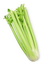 One fresh green celery bunch isolated on white, top view