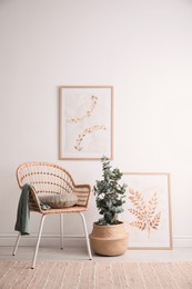 Photo of Wicker armchair, beautiful paintings and potted eucalyptus plant near light wall in room