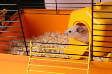 Photo of Cute little hamster inside decorative house in open cage