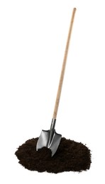 Photo of Shovel and pile of soil isolated on white