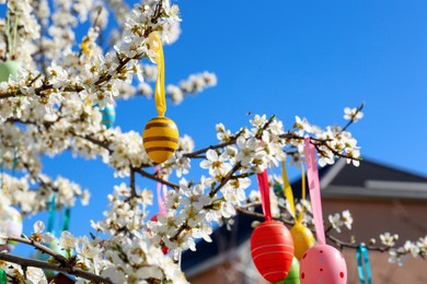 Beautifully painted Easter eggs hanging on blooming cherry tree outdoors