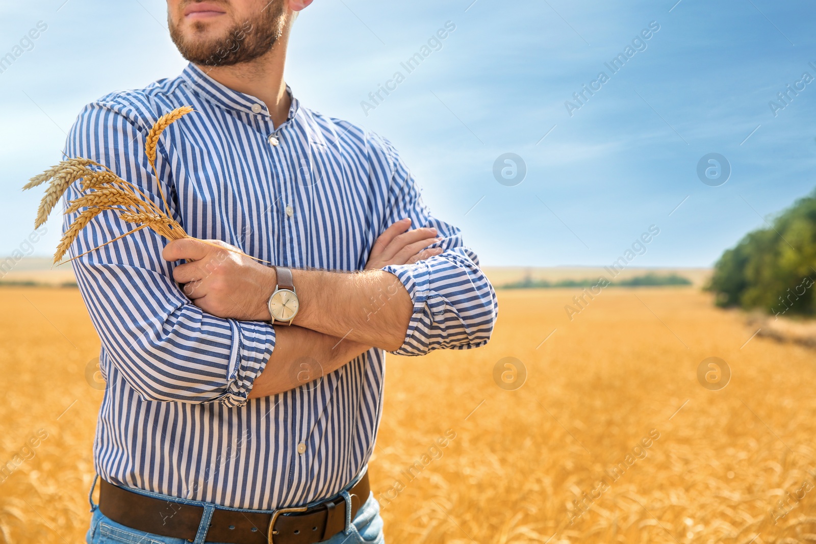 Photo of Young man with spikes in grain field. Cereal farming