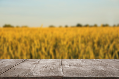 Empty wooden surface and blurred view of wheat field on sunny day. Space for text