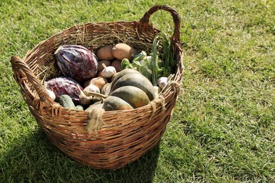 Photo of Different fresh ripe vegetables in wicker basket on green grass. Space for text