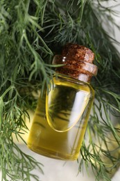 Bottle of essential oil and fresh dill on light table, top view