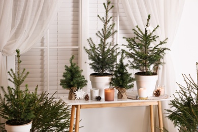 Photo of Potted fir trees and Christmas decorations on table near window in room. Stylish interior design