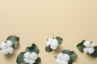 Cotton flowers and eucalyptus leaves on beige background, flat lay. Space for text