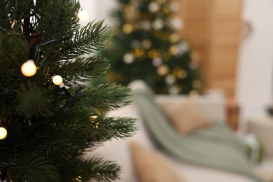 Photo of Sofa near Christmas tree in room, selective focus. Festive interior design