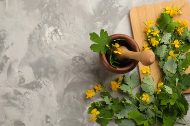Photo of Celandine with mortar and pestle on grey table, flat lay. Space for text