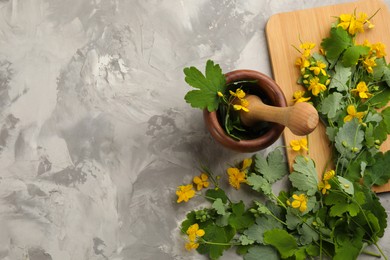 Celandine with mortar and pestle on grey table, flat lay. Space for text