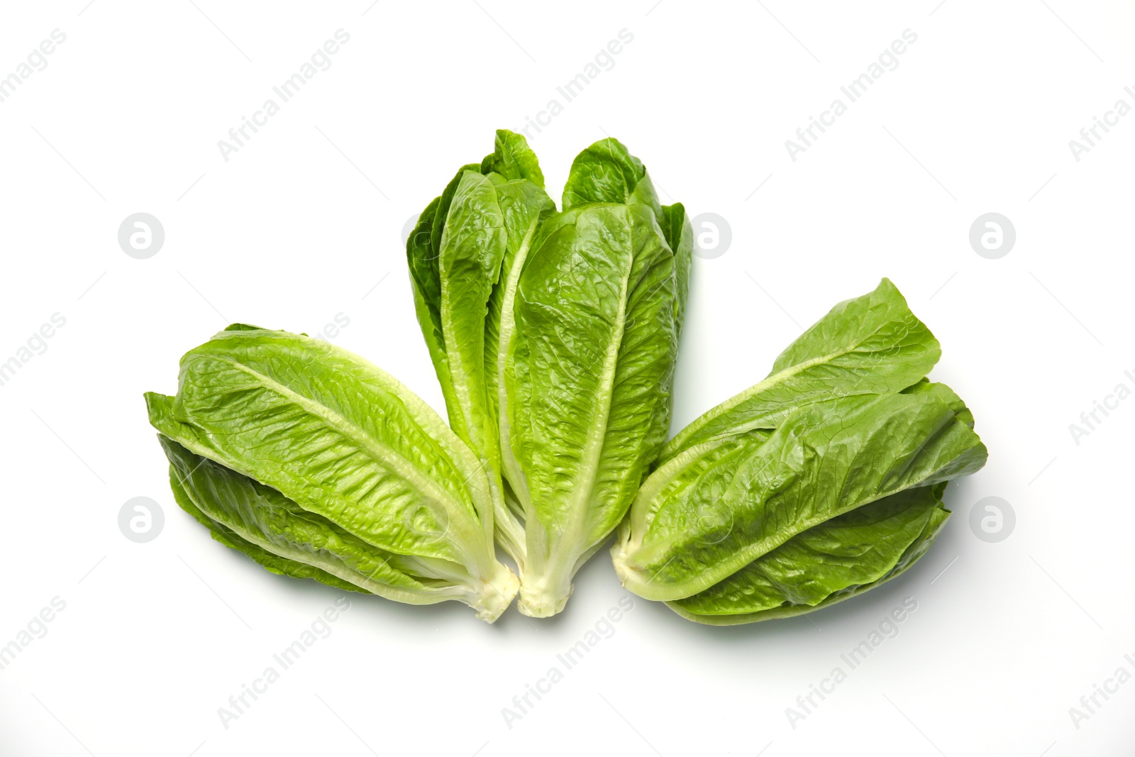 Photo of Fresh ripe cos lettuce on white background