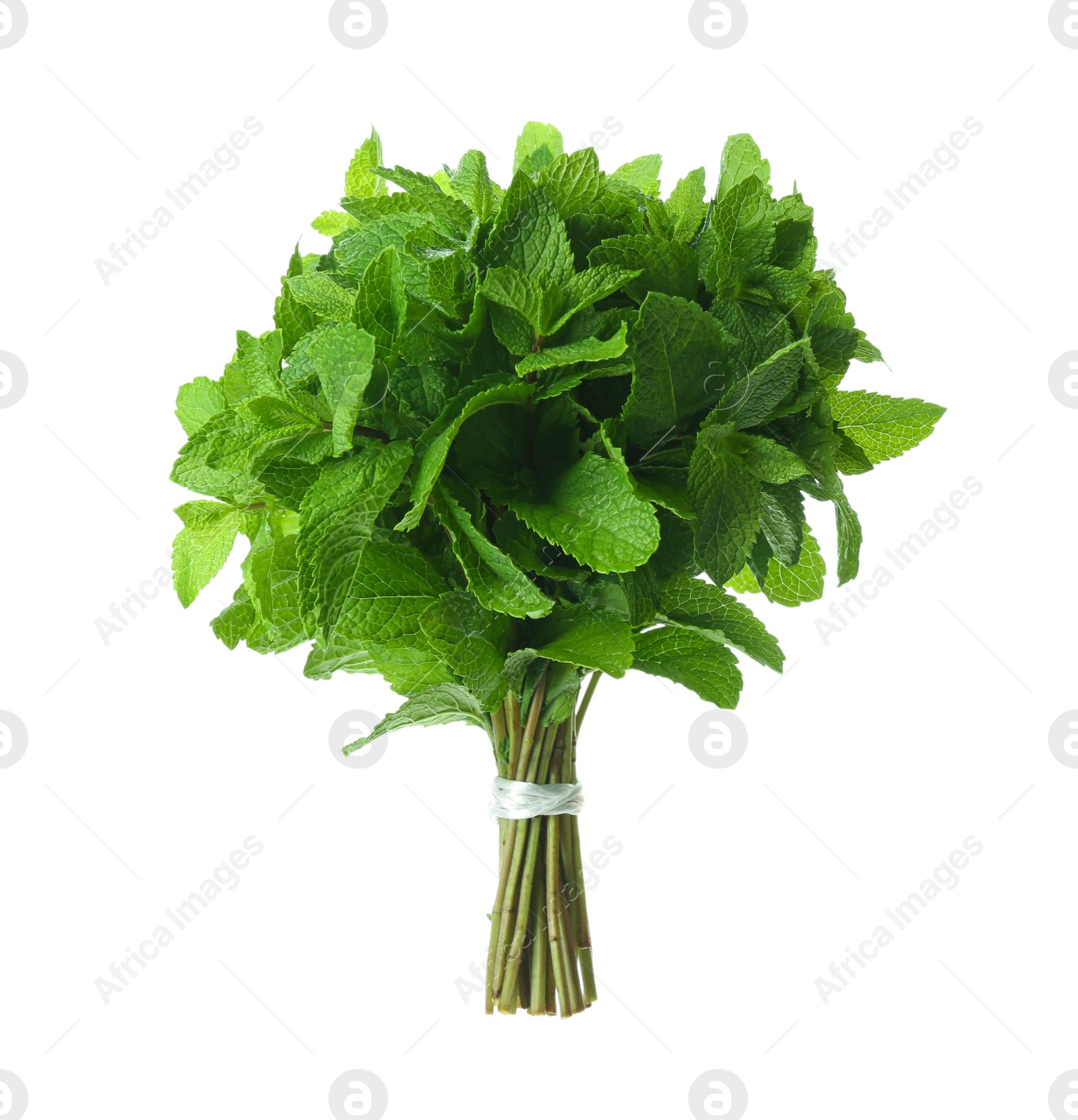 Photo of Bunch of fresh mint isolated on white