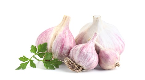 Photo of Fresh garlic heads and parsley isolated on white