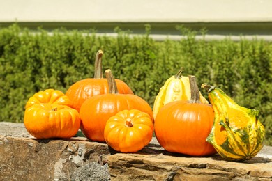 Photo of Many different ripe orange pumpkins on stone surface in garden