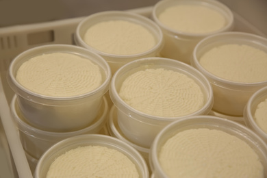 Photo of Moulds with pressed cheese in box at modern factory, closeup